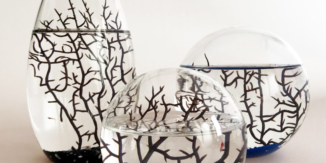 NASA Ecosphere