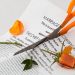 how to talk about a prenuptial agreement