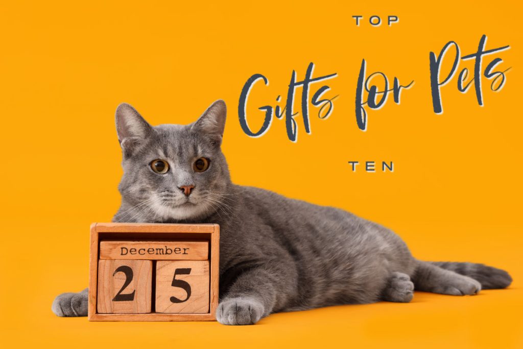 Gifts for pets