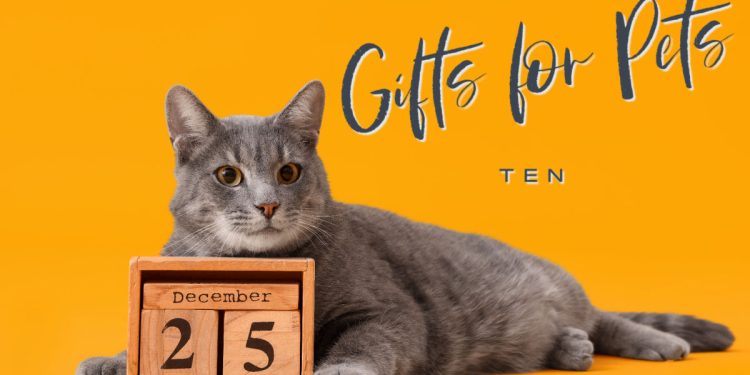 Gifts for pets