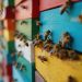 Regret bee friendly garden