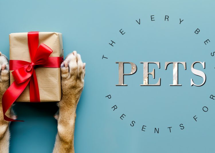 The best gifts for pets