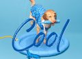 How to Keep Pets Cool in a Heatwave