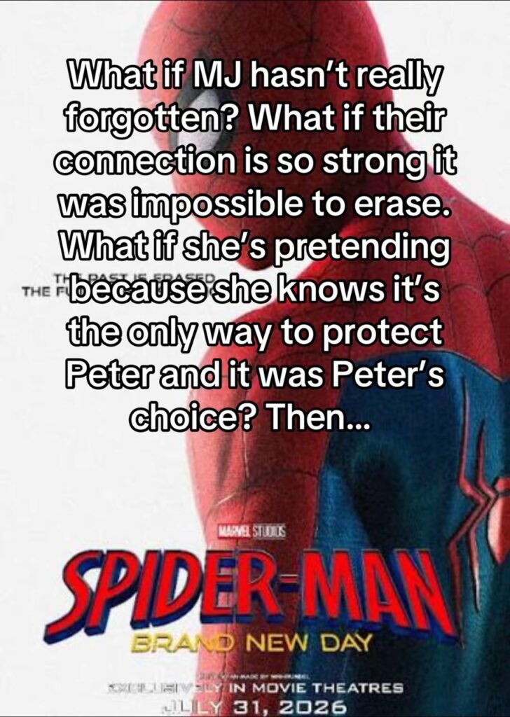 Spiderman theory